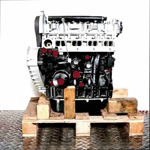 Engine F1AGL411D on a wooden pallet against a white background. The silver and black engine features details like hoses and yellow/red caps. Side view.